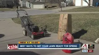 Toby Tobin's 4 tips to tackle your lawn NOW