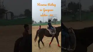 Horse riding in Gurgaon sector - 59