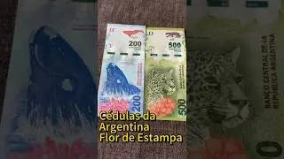 C&eacute;dulas antigas: dinheiro da Argentina vale a pena vender? #cedulas #moedas #numismatica #dinheiro