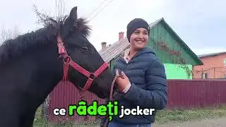 Prezentarea la mănzuc