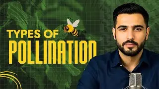 Types of Pollination: How Flowers Reproduce Through Wind, Water, and Insects