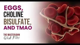 Eggs, Choline Bisulfate, and TMAO