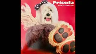 Priscila - Sonhando (Jelle from the Block Edit)