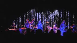 The Ragbirds 