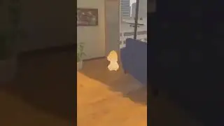 Loli Dance