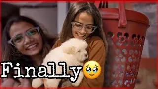 One Bucket List Down | Bought My Puppy | New Family Member Added |Anjali Patel (Reborne Unicorn)