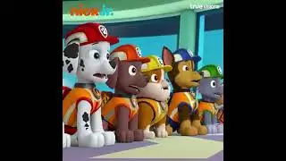 Paw Patrol : Promo (TrueVisions)