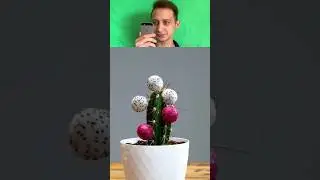 Разоблачение лайфхака кактус и драконий фрукт