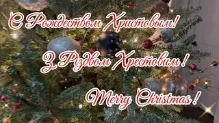 ❄️  Merry Christmas!!!  2025 ❄️🎄