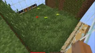 FormigaCraft #1/ Parte 1