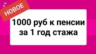 💰 +1000 рублей к пенсии за каждый год стажа &mdash; новое предложение 2025!