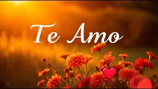 Con todo mi cariño, mira este video hoy 🌹