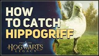 How to Catch Hippogriff Hogwarts Legacy