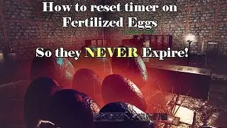 How to reset spoil timers on fertilized eggs so they never expire!