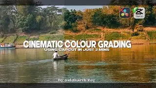 Cinematic Colour Grading for BEGINNERS (Capcut Tutorial)