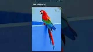 Android ImageViewer with infinite scroll and zoom. Xamarin.Android