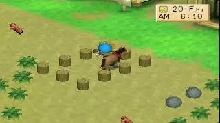 020 Spring 20 Y1 - Harvest Moon: Back to Nature