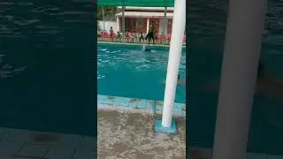 #foryou #real #viralvideo #swimming #compation #jishan azadi