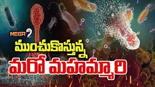Harmful 'superbugs' In India | Super Bugs Symptoms and Causes | Mega9tv