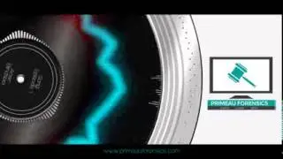 Blindspot  Episode 1   How to Build Your Expert Witness Curriculum Vitae C V 20150604 172435