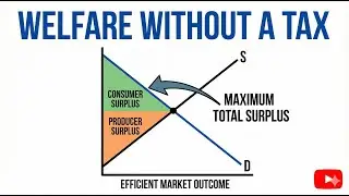 Deadweight Loss of Taxation || How a Tax Affect Market Participants || Welfare without a Tax