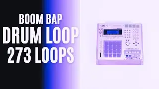 BOOM BAP DRUM LOOPS 273 LOOPS (ROYALTY FREE)