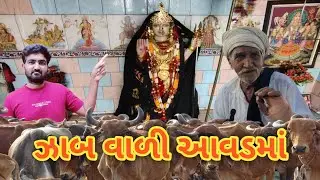 ઝાબ વાળી આવળ માતાજીના દર્શન | ખાસ ભુવા શ્રી ના આશીર્વાદ | આવળ ધામ ભોગાત | Navratri mahotsav |