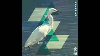 Kainalu - Folds Like Origami