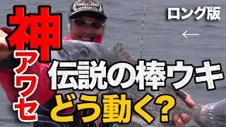 【*音声改良*ロング版】身近な波止場でチヌを爆釣！遠矢国利名人がアワセて釣る瞬間をひたすら見る！（字幕付き）