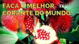 Veja essa Receita do Melhor Corante Caseiro do Mundo