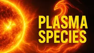 The Sun&rsquo;s Secret: A Species Made of Plasma #facts 