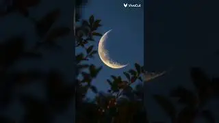 Moon #popular #edit #moonlight