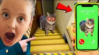OIIAOIIA CAT GECE 3’te EVİMİZE GELDİ‼️ASLI RÜYA NE YAPACAĞIZ‼️