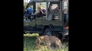 Kicheche Spot of the Week : Best Mates