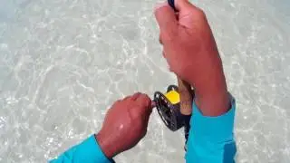 small bonefish cuba