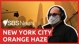 Watch New York turn orange as smoke from Canadian fires fills city | SBS News
