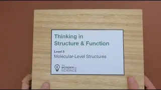 Molecular-Level Structures