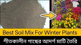 Best soil mix for winter plants.. Making ideal soil for all winter plants