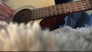 Sucker - Jonas Brothers - Fingestle Cover arranged by Rakshit Puniani