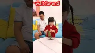 Funny frog and dog video😱😱@Animalsworld-x2r #shorts #funny  #pets #trending #dog #frog #dogs