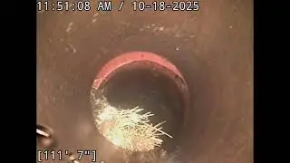 Hart St Van Nuys (Root Intrusion)