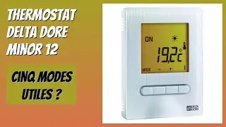 AVIS (2025) : Thermostat Delta Dore Minor 12. D&Eacute;TAILS ESSENTIELS