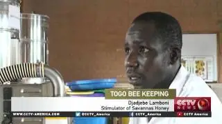 Togo's savannah honey market creates a buzz