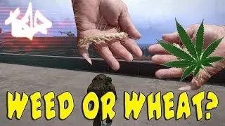 Weed or Wheat? --- Arma 3 Altis Life --- #1