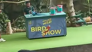 Bird Show at Cebu Safari #cebusafari 