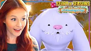 Let's Play STORY OF SEASONS: A Wonderful Life [4]