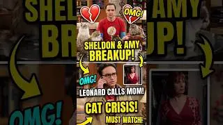 The Cat Crisis :when Sheldon broke up with Amy & leonard calls Sheldon's mom