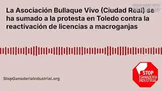 La Asociaci&oacute;n Bullaque Vivo (Ciudad Real) se ha sumado a la protesta en Toledo contra la...
