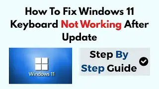 How To Fix Windows 11 Keyboard Not Working After Update