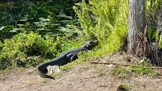 Family Road Trip to South Florida (Part 2)